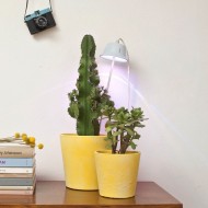 Подвесной светильник Linea Light Chlorophyll Bulbo 8012