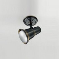 Cпот (точечный светильник) Lustrarte Spot s 800-0077 Cпот (точечный светильник) Lustrarte Spot s 800-0077