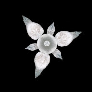 Потолочная люстра La Murrina Fenice R/3 QD-3S Потолочная люстра La Murrina Fenice R/3 QD-3S