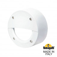 Уличный настенный светильник Fumagalli Leti 2S3.000.000.WYG1L