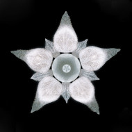 Потолочная люстра La Murrina Fenice R/5 QD-3S Потолочная люстра La Murrina Fenice R/5 QD-3S