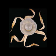 Потолочный светильник Lucienne Monique Summer Flowers 9110/1 Потолочный светильник Lucienne Monique Summer Flowers 9110/1