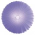 Настенно-потолочный светильник Axo Light Muse PL MUSE 60 Viola PLMUSE60VIXXE27 Настенно-потолочный светильник Axo Light Muse PL MUSE 60 Viola PLMUSE60VIXXE27