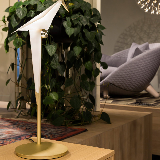 Настольная лампа MOOOI Perch light TABLE MOLPLTA