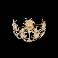 Потолочный светильник Schonbek Esteracae DN1218-22A Потолочный светильник Schonbek Esteracae DN1218-22A