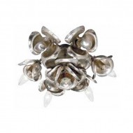 Потолочный светильник Lucienne Monique Appliques W 50 Потолочный светильник Lucienne Monique Appliques W 50