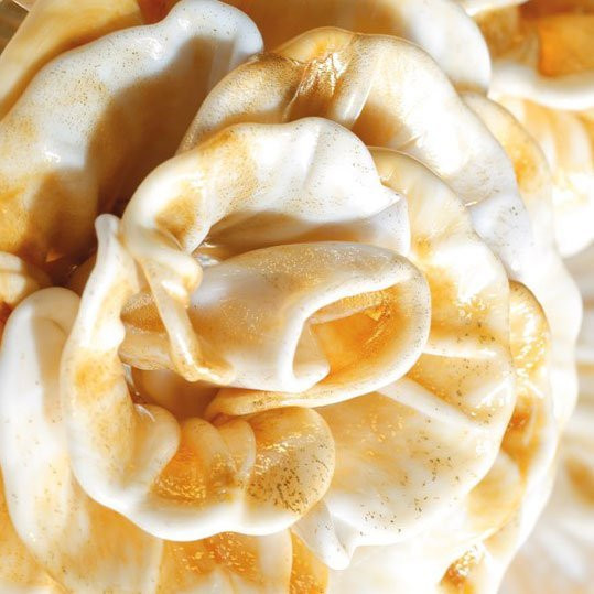 Настольная лампа IlParalume MARINA 5524 1841 Настольная лампа IlParalume MARINA 5524 1841