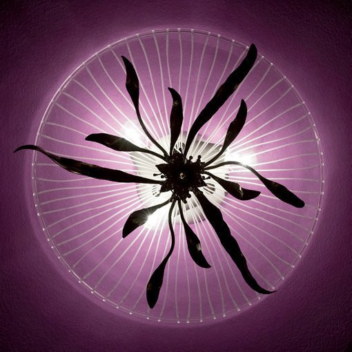 Потолочный светильник MM Lampadari Virgola 6909/P3 V2557 Потолочный светильник MM Lampadari Virgola 6909/P3 V2557