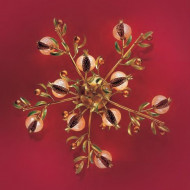 Потолочная люстра Bellart Melograno 1640/PL10L 02/V03 Потолочная люстра Bellart Melograno 1640/PL10L 02/V03