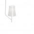Люстра Foscarini Birdie 2210083 10