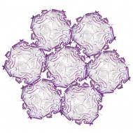 Подвесной светильник Slamp Veli 7 SUSPENSION PLUM VEL78SOS0006H_000 Подвесной светильник Slamp Veli 7 SUSPENSION PLUM VEL78SOS0006H_000