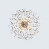 Настенно-потолочный светильник Serip Coral AP1486 FO_PB Настенно-потолочный светильник Serip Coral AP1486 FO_PB