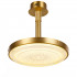Потолочный светильник DeLight Collection MX18006004-1A gold