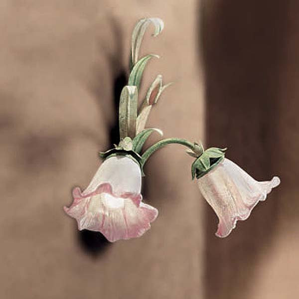 Бра Renzo Del Ventisette "Floreale" A 13461/2 DEC. 019 + ORO Бра Renzo Del Ventisette "Floreale" A 13461/2 DEC. 019 + ORO