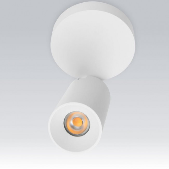 Потолочный светильник Linea Light Bart 8466