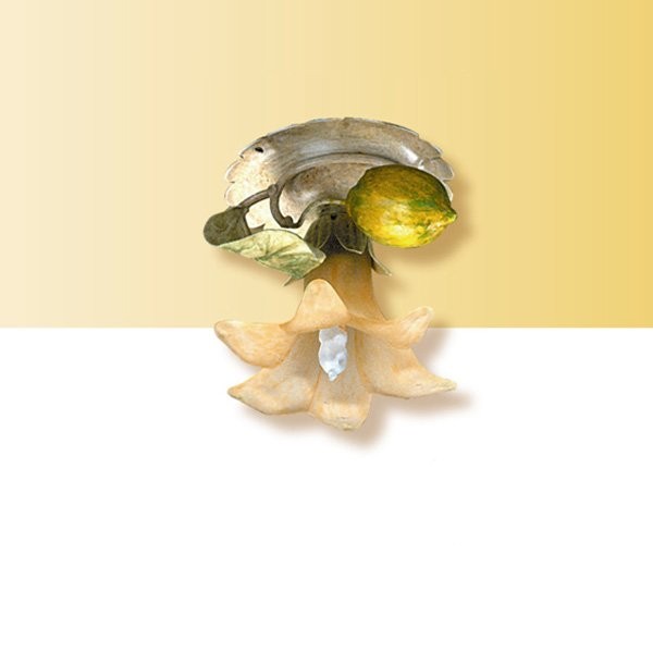 Спот (точечный светильник) Passeri International Frutta F 6195/1 Dec. 04 Спот (точечный светильник) Passeri International Frutta F 6195/1 Dec. 04