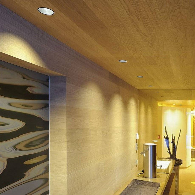 Встраиваемый спот (точечный светильник) SLV Horn 112910