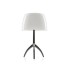 Настольная лампа Foscarini Lumiere 0260112R2 11