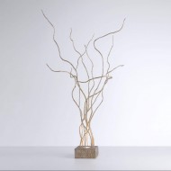 Напольный светильник Serip Wind 6036 FP_PB Напольный светильник Serip Wind 6036 FP_PB