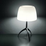 Настольная лампа Foscarini Lumiere 026011R2 11 Настольная лампа Foscarini Lumiere 026011R2 11