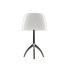 Настольная лампа Foscarini Lumiere 026011R2 11