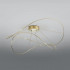 Потолочный светильник Axo Light Hoops PL HOOPS 2 PLHOOPS2ORORLED Потолочный светильник Axo Light Hoops PL HOOPS 2 PLHOOPS2ORORLED