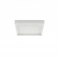 Потолочный светильник Linea Light Tara 8328 Потолочный светильник Linea Light Tara 8328