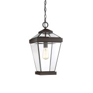 Подвесной светильник Quoizel Ravine QZ/RAVINE8/L