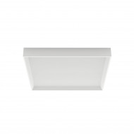 Потолочный светильник Linea Light Tara 8331 Потолочный светильник Linea Light Tara 8331