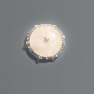 Настенный светильник Serip Nenufar AP1456 FO_PB NF37 Настенный светильник Serip Nenufar AP1456 FO_PB NF37