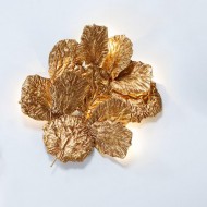 Настенный светильник Serip Pathleaf AP1470/6 FO