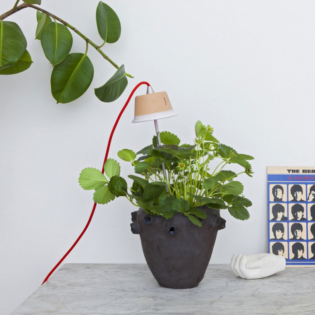 Подвесной светильник Linea Light Chlorophyll Bulbo 8010 Подвесной светильник Linea Light Chlorophyll Bulbo 8010