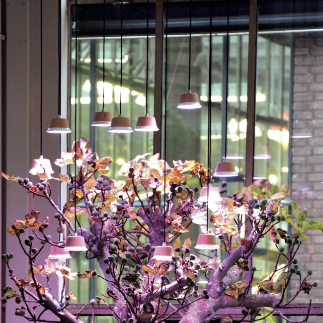 Подвесной светильник Linea Light Chlorophyll Bulbo 8010 Подвесной светильник Linea Light Chlorophyll Bulbo 8010